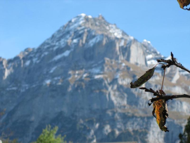 Hotel Gletschertal Grindelwald Bagian luar foto